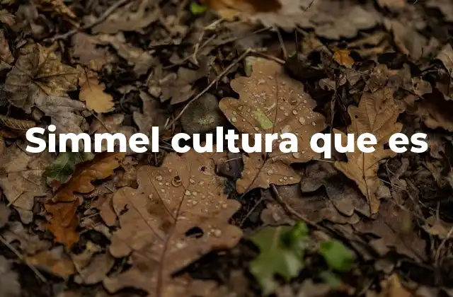 Simmel Cultura que es