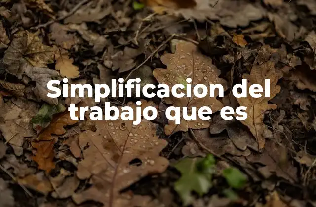 Simplificacion Del Trabajo que es