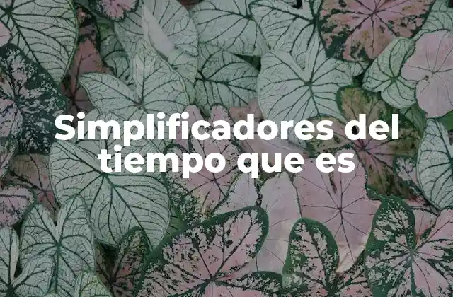 Simplificadores Del Tiempo que es 2 La importancia de optimizar el uso del tiempo