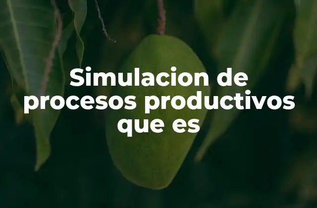 Simulacion de Procesos Productivos que es