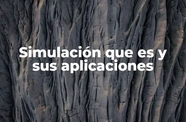 Simulación que es y Sus Aplicaciones
