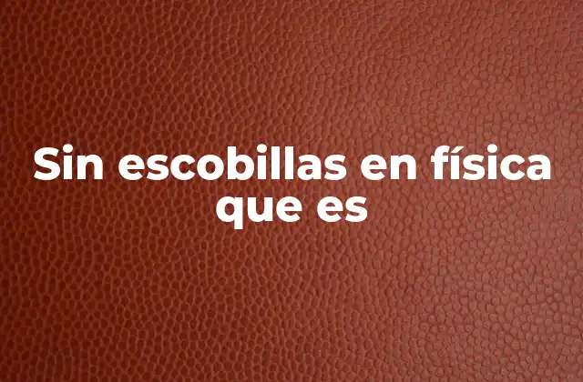 Sin Escobillas en Física que es