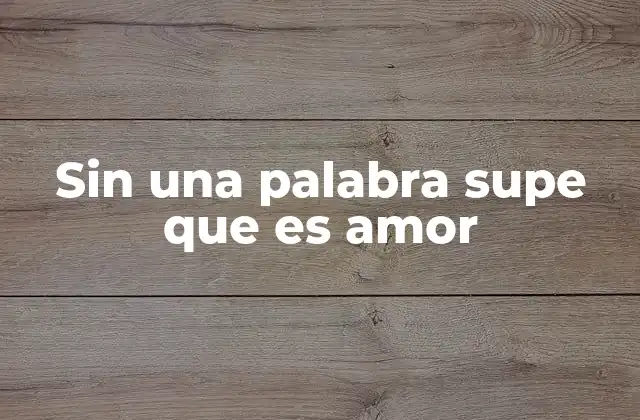Sin una Palabra Supe que es Amor