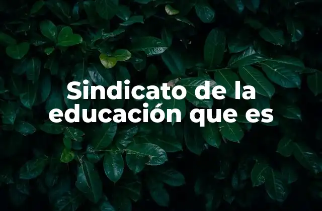 Sindicato de la Educación que es