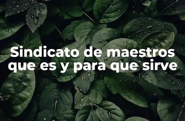 Sindicato de Maestros que es y para que Sirve