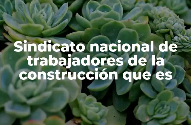 Sindicato Nacional de Trabajadores de la Construcción que es