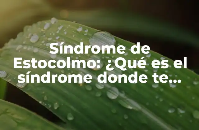 Síndrome de Estocolmo: ¿qué es el Síndrome Donde Te Enamoras de Tu Secuestrador?
