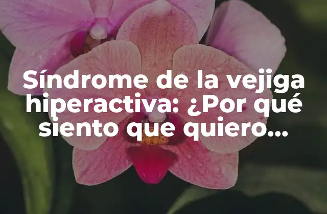 Síndrome de la Vejiga Hiperactiva: ¿por Qué Siento que Quiero Hacer Pipi y No Puedo?