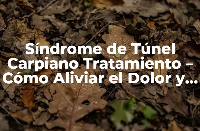 Síndrome de Túnel Carpiano Tratamiento – Cómo Aliviar el Dolor y Recuperar la Movilidad