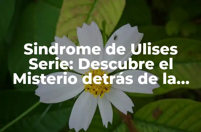 Sindrome de Ulises Serie: Descubre el Misterio Detrás de la Ficción