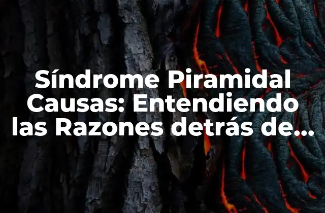 Síndrome Piramidal Causas: Entendiendo las Razones Detrás de Este Trastorno Neurológico