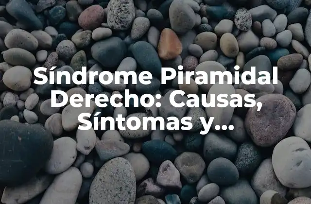 Síndrome Piramidal Derecho: Causas, Síntomas y Tratamiento 2 Causas del Síndrome Piramidal Derecho
