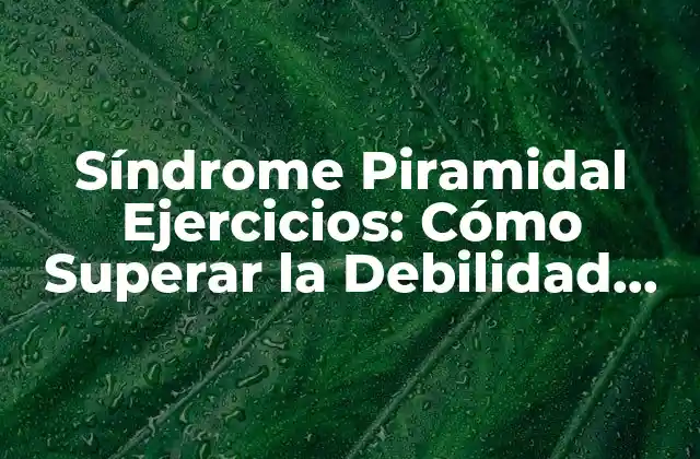 Síndrome Piramidal Ejercicios: Cómo Superar la Debilidad Muscular