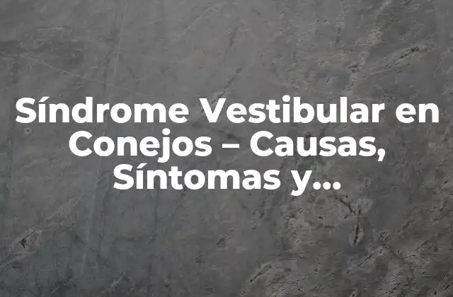 Síndrome Vestibular en Conejos – Causas, Síntomas y Tratamiento