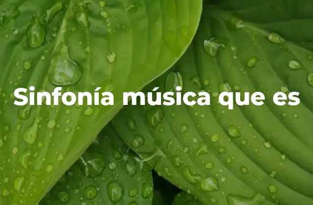 Sinfonía Música que es