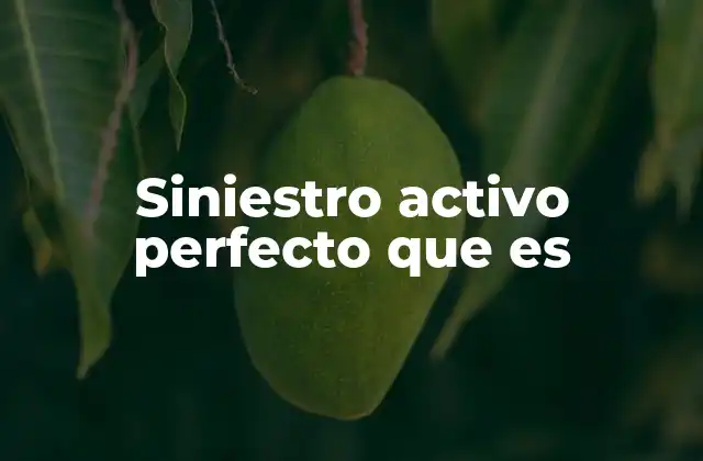 Siniestro Activo Perfecto que es 2 El proceso detrás de un siniestro activo