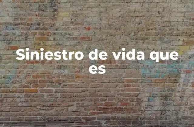 Siniestro de Vida que es