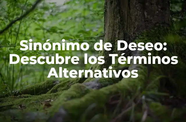 Sinónimo de Deseo: Descubre los Términos Alternativos