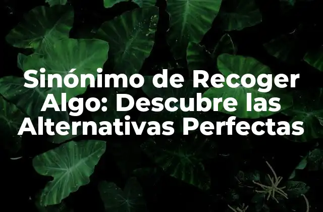 Sinónimo de Recoger Algo: Descubre las Alternativas Perfectas