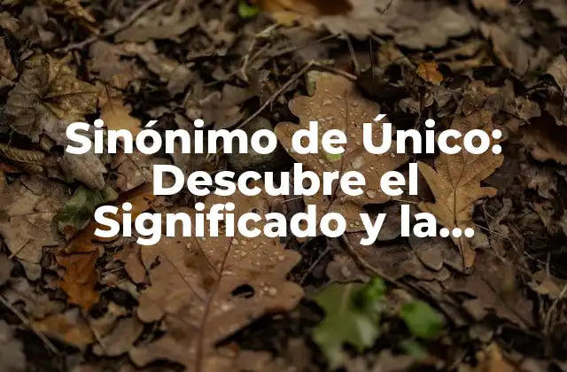 Sinónimo de Único: Descubre el Significado y la Importancia