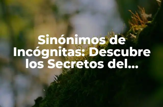 Sinónimos de Incógnitas: Descubre los Secretos Del Lenguaje