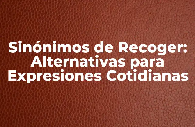 Sinónimos de Recoger: Alternativas para Expresiones Cotidianas