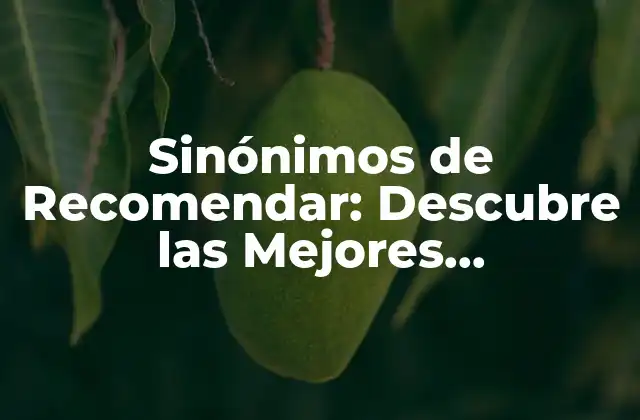 Sinónimos de Recomendar: Descubre las Mejores Alternativas 2 ¿Por qué es importante utilizar sinónimos de recomendar?