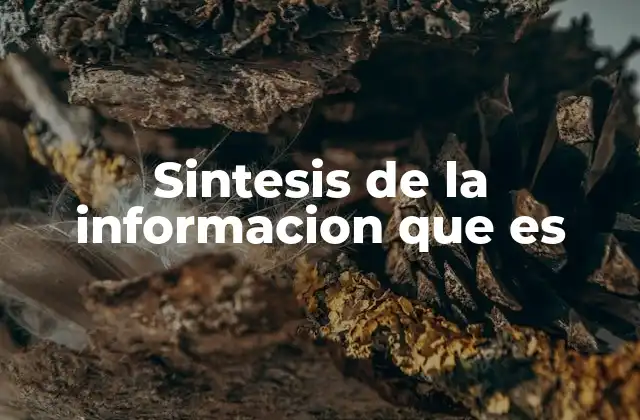Sintesis de la Informacion que es
