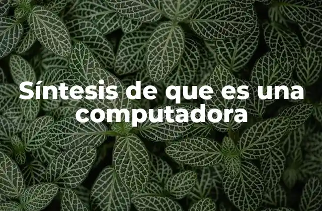 Síntesis de que es una Computadora
