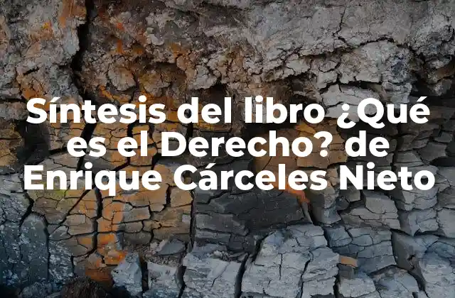 Síntesis Del Libro ¿qué es el Derecho? de Enrique Cárceles Nieto