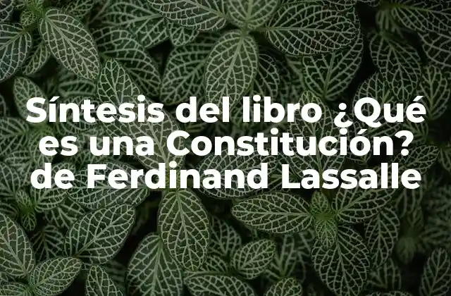 El papel de la Constitución en la organización del Estado