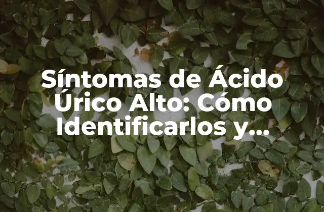 Síntomas de Ácido Úrico Alto: Cómo Identificarlos y Tratarlos