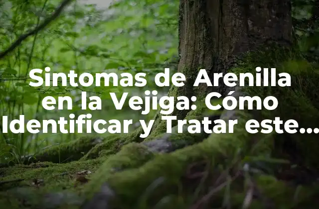 Sintomas de Arenilla en la Vejiga: Cómo Identificar y Tratar Este Problema de Salud