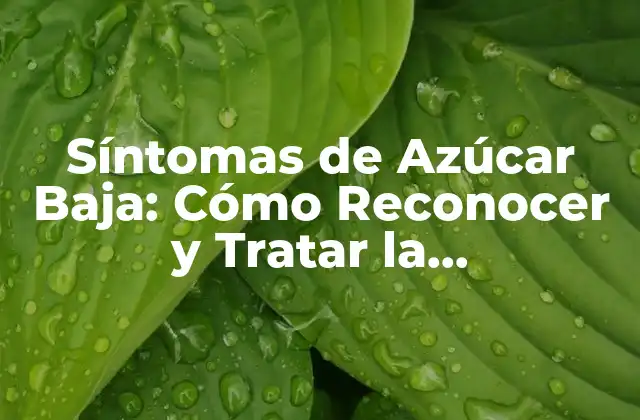 Síntomas de Azúcar Baja: Cómo Reconocer y Tratar la Hipoglucemia 2 ¿Qué son los Síntomas de Azúcar Baja?