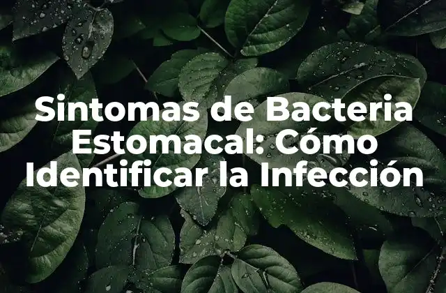 Sintomas de Bacteria Estomacal: Cómo Identificar la Infección