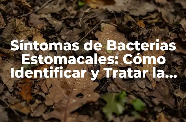 Síntomas de Bacterias Estomacales: Cómo Identificar y Tratar la Infección