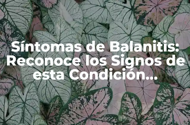 Síntomas de Balanitis: Reconoce los Signos de Esta Condición Infecciosa