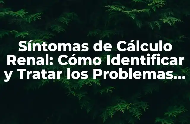 Síntomas de Cálculo Renal: Cómo Identificar y Tratar los Problemas de Riñón