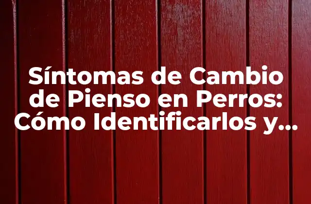 Síntomas de Cambio de Pienso en Perros: Cómo Identificarlos y Solucionarlos