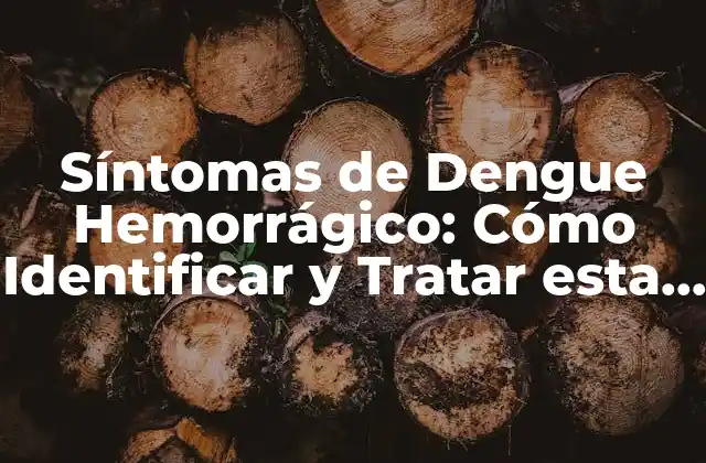 Síntomas de Dengue Hemorrágico: Cómo Identificar y Tratar Esta Enfermedad