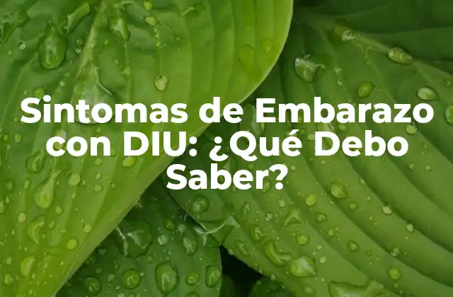 Sintomas de Embarazo con Diu: ¿qué Debo Saber?
