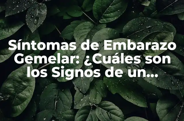 Síntomas de Embarazo Gemelar: ¿cuáles Son los Signos de un Embarazo Múltiple?