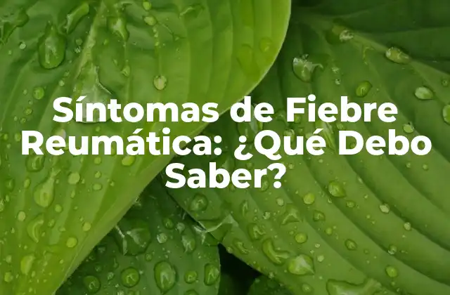Síntomas de Fiebre Reumática: ¿qué Debo Saber?