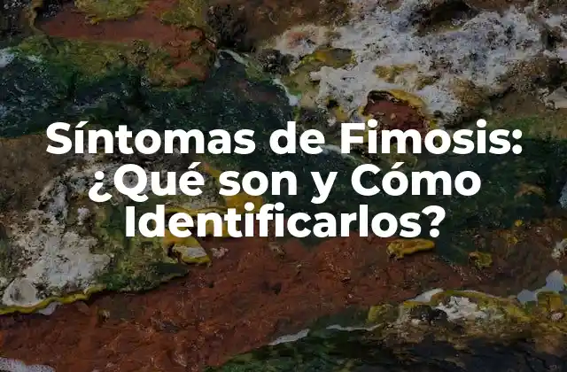 Síntomas de Fimosis: ¿qué Son y Cómo Identificarlos?