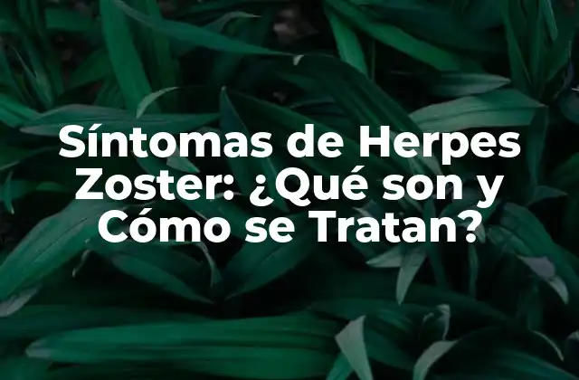 Síntomas de Herpes Zoster: ¿qué Son y Cómo Se Tratan? 2 ¿Qué Causa el Herpes Zoster?