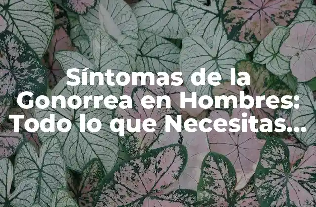 Síntomas de la Gonorrea en Hombres: Todo Lo que Necesitas Saber