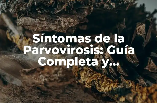 Síntomas de la Parvovirosis: Guía Completa y Actualizada