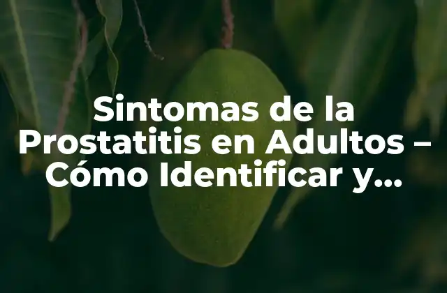 Sintomas de la Prostatitis en Adultos - Cómo Identificar y Tratar 2 ¿Qué son los Síntomas de la Prostatitis en Adultos?