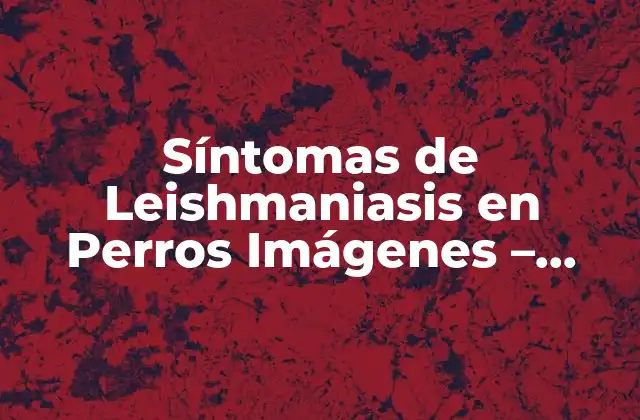 Síntomas de Leishmaniasis en Perros Imágenes – ¿qué Debes Saber?