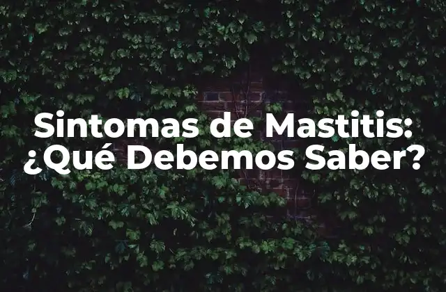 Sintomas de Mastitis: ¿qué Debemos Saber?